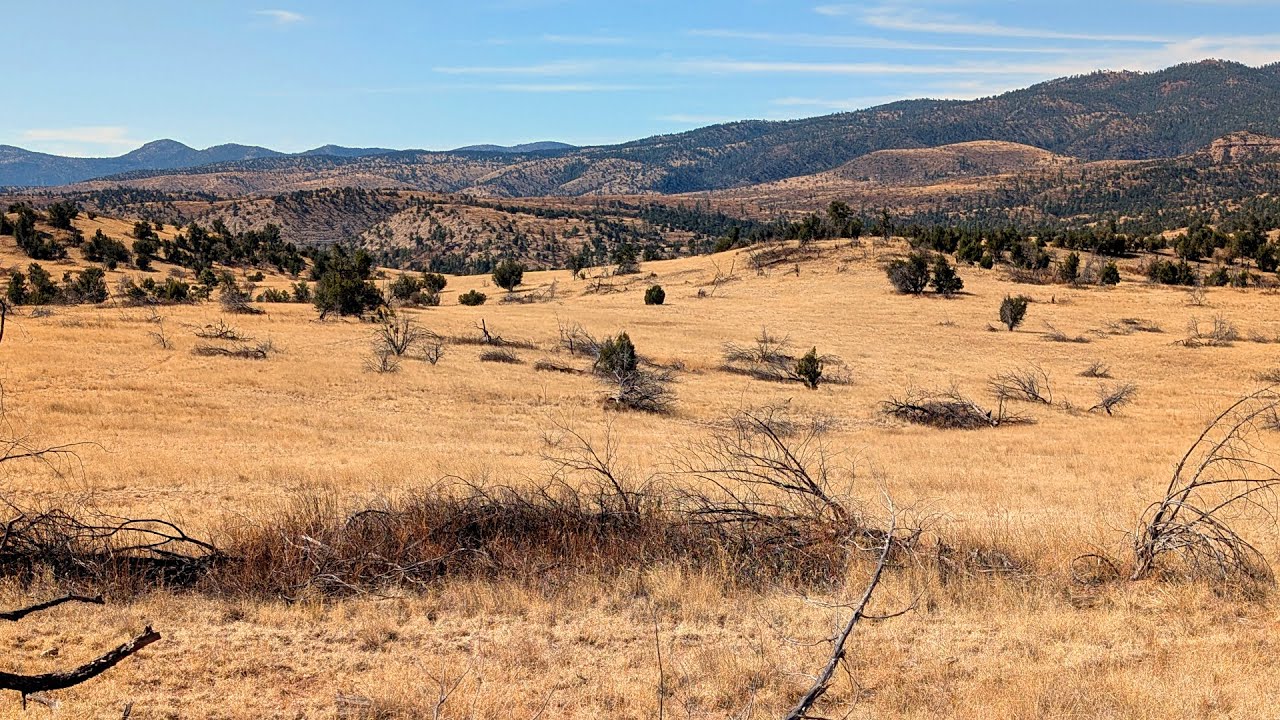 22c - Часть 3, Одиночный поход с рюкзаком среди медведей в пустынных каньонах заповедника Гила, з...
