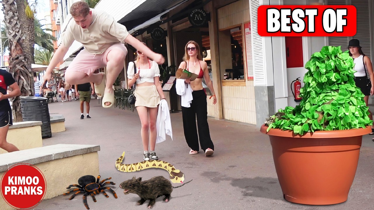 BEST PRANKS OF 2024 😂 FUNNIEST PRANKS OF THE YEAR (PART 01)