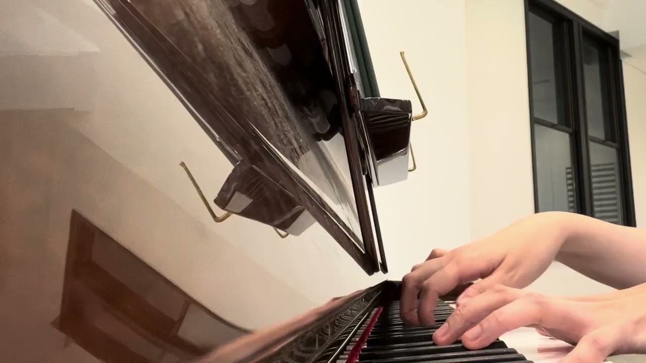 Le Onde（波） - Ludovico Einaudi（ルドヴィコ・エイナウディ）