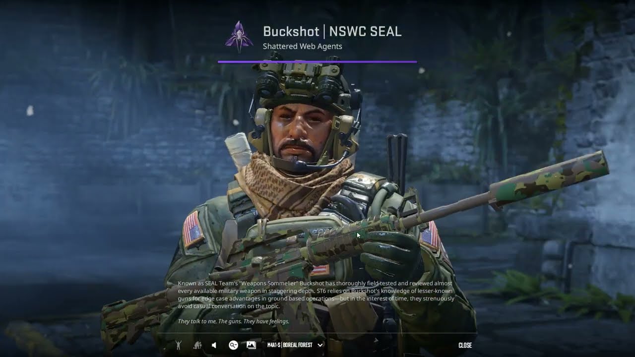 Counter-Strike 2 - Two Times McCoy and Buckshot Agents - Applying Bloodhound Patch