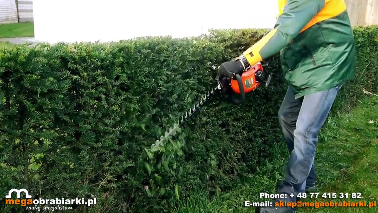 Nożyce spalinowe do żywopłotów Hecht 924