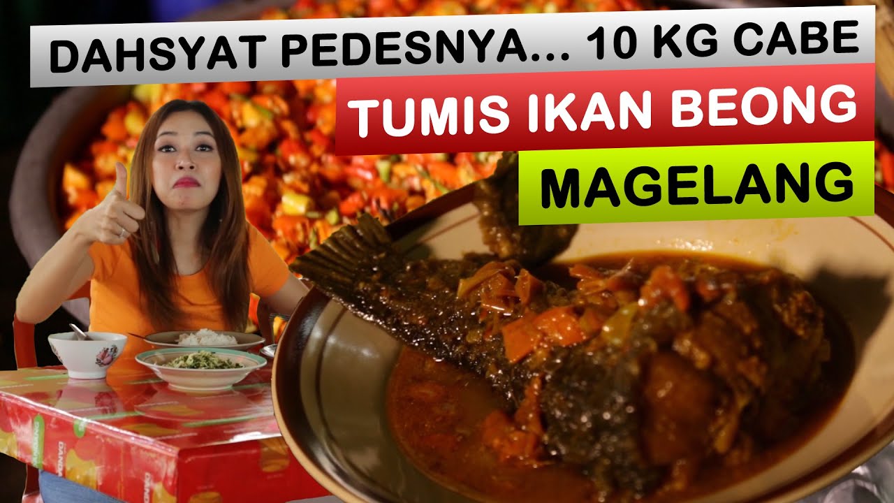 IKAN BEONG MAGELANG, IKAN BEONG BOROBUDUR, IKAN BEONG SUNGAI PROGO PEDAS... Magelang Part 1