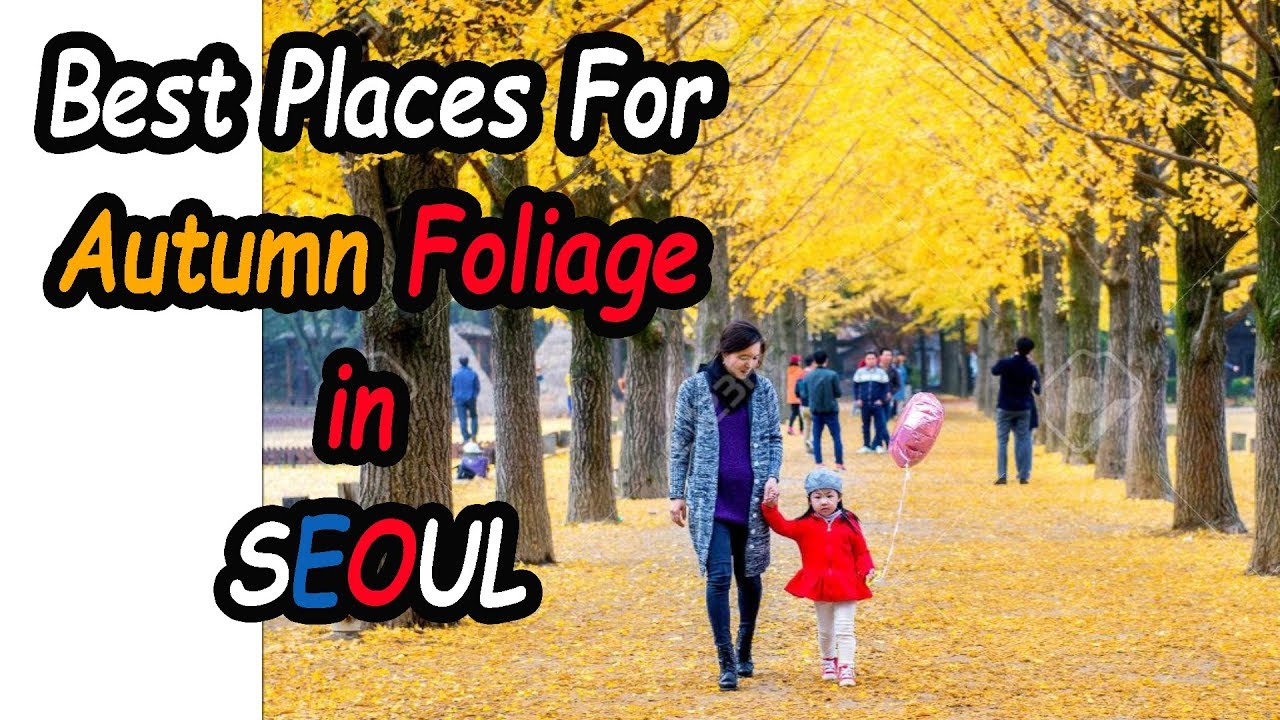 Where To See Autumn Foliage In Seoul (Best Places for Autumn Foliage in Seoul)