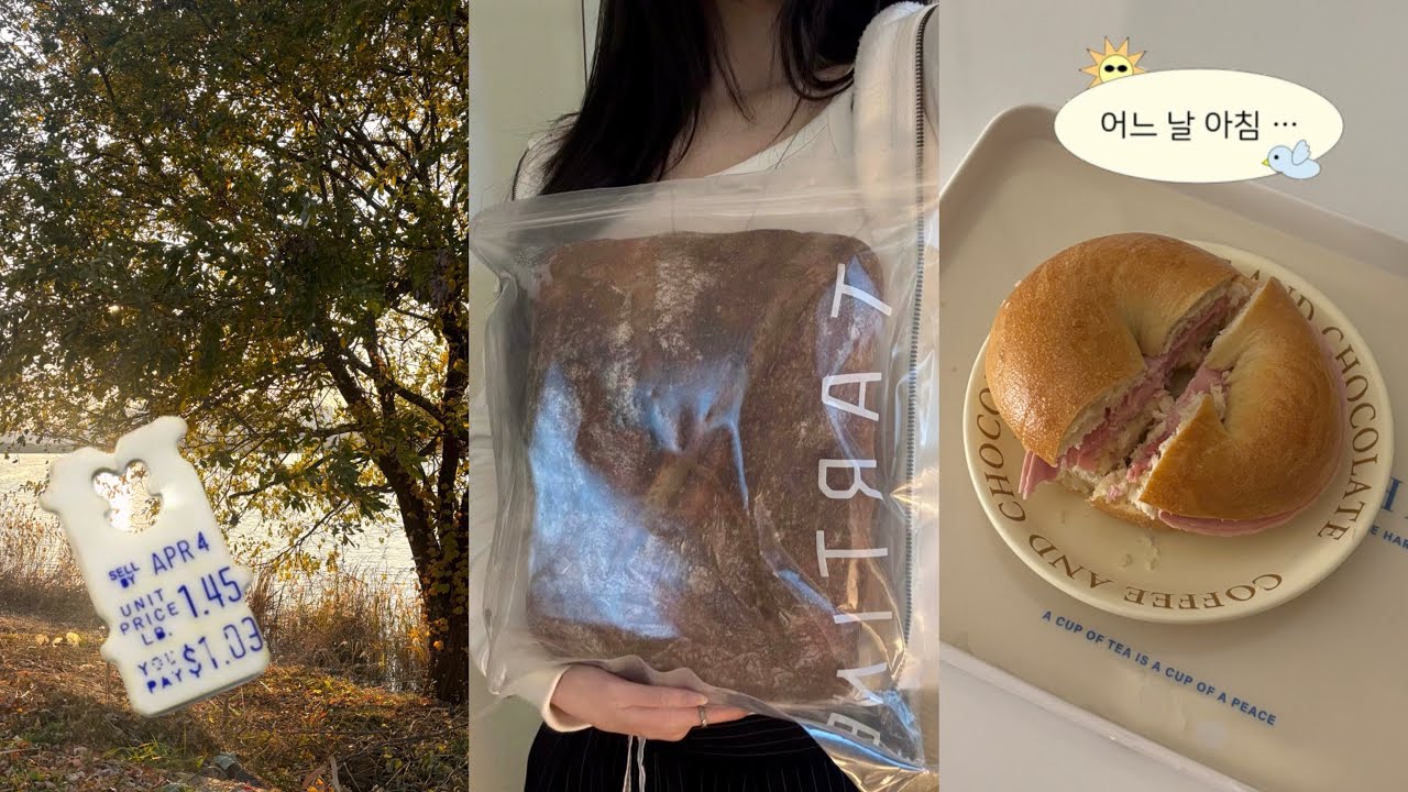 기말 전 일주일 브이로그 ⋆ ˚｡⋆ 📚🥯