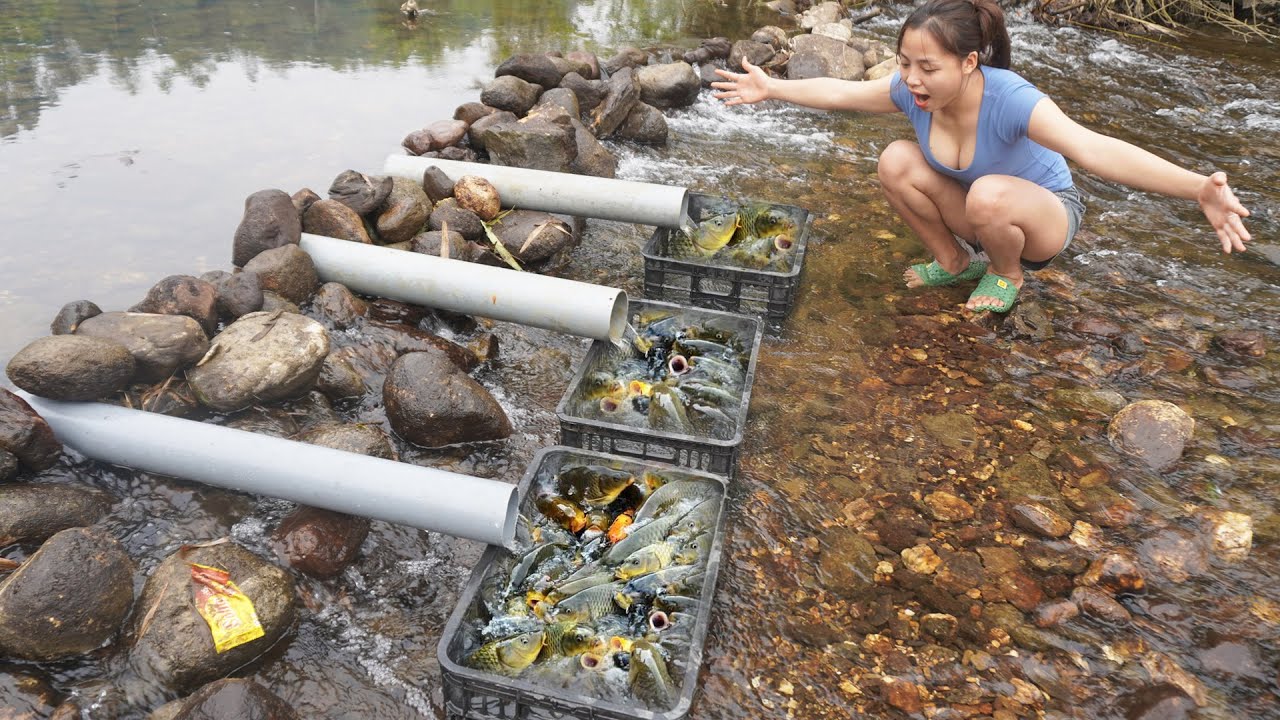 Full video of 15 days of girl making fish traps in the stream and catching many big carp.