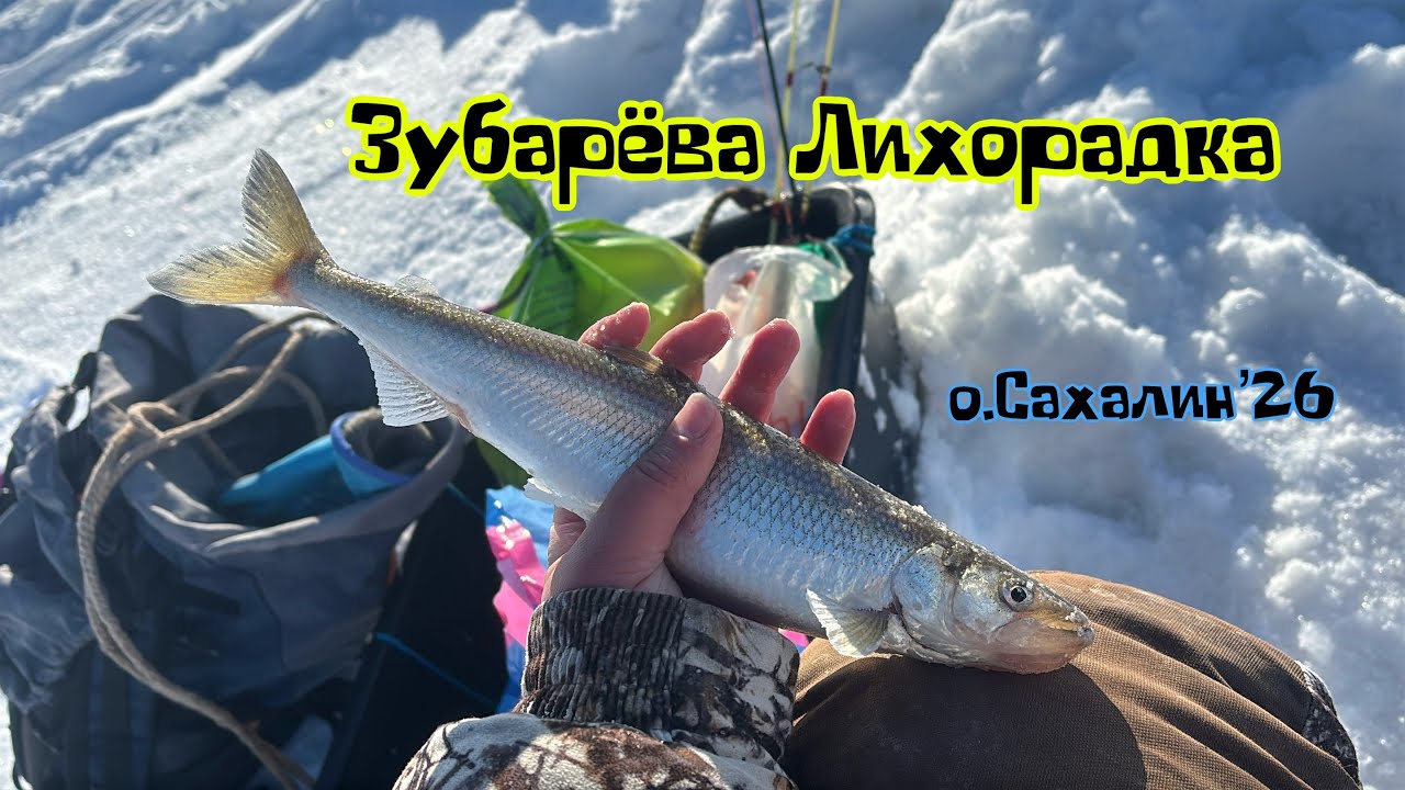 Корюшка Азиатская(зубарь), о.Сахалин