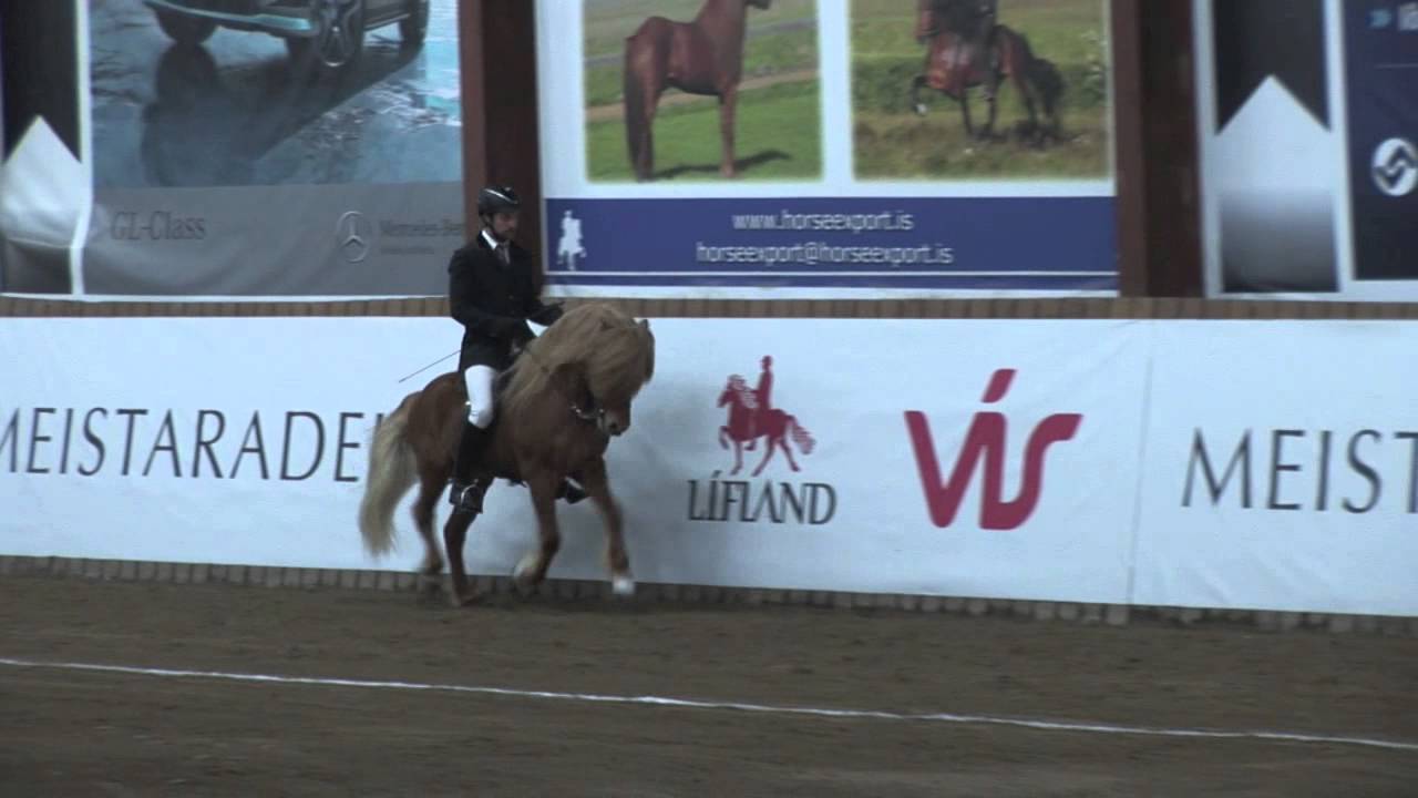 Meistaradeildin 2013 - T&ouml;lt, forkeppni