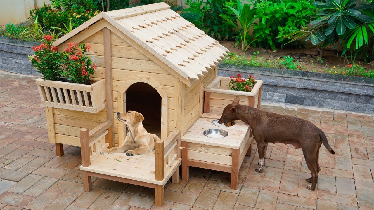 Build Most Creative Wooden Dog House and Dog Dining Table from Recycled Pallets for homeless puppies