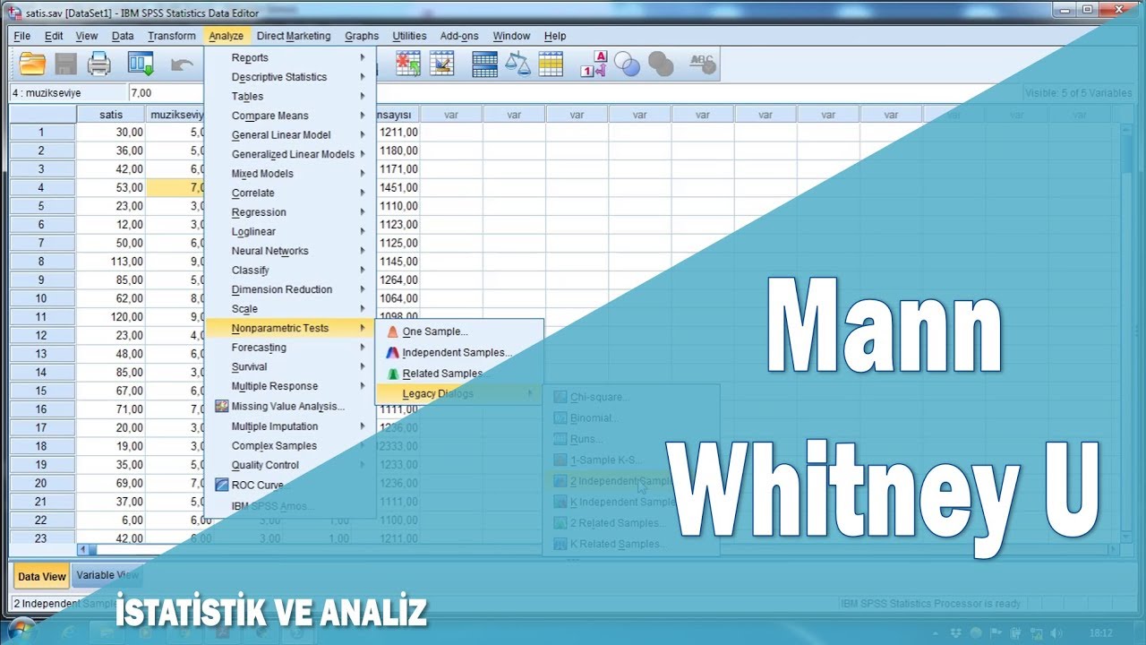 SPSS ile Mann Whitney U Analizi ve Hipotez Testleri