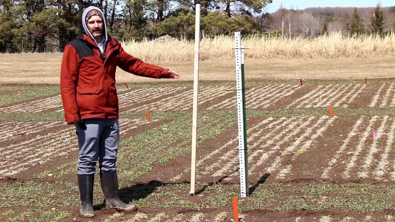 Winter Barley Hardiness Trial