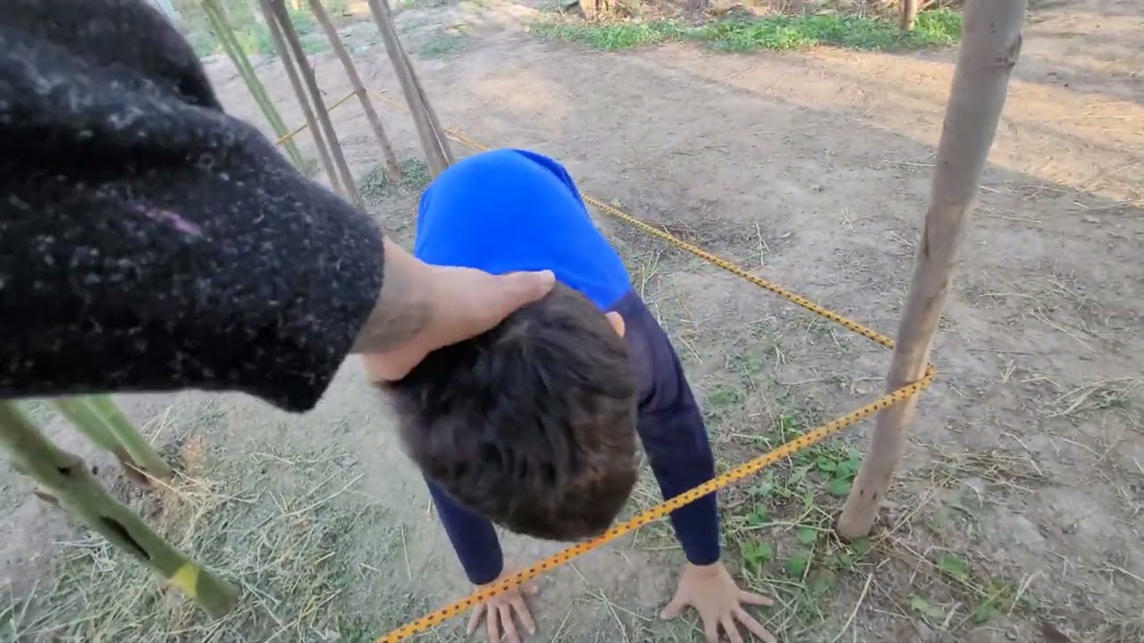Día de ir por alfalfa,  gallos nuevos 🐓 y hamburguesas en el rancho... tan ...