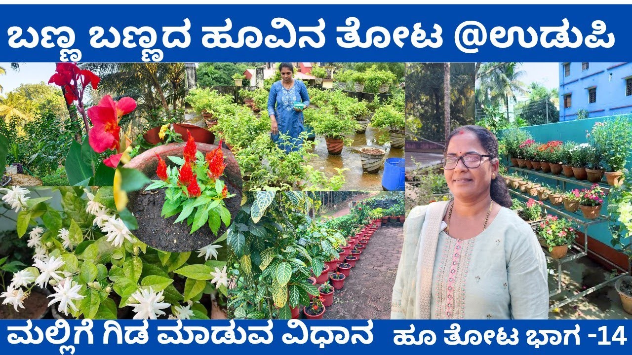 ಕೈತೋಟದೊಂದಿಗೆ ಹೂ ತೋಟ 👌👌 ಮಲ್ಲಿಗೆ ಗಿಡ ಮಾಡುವುದು ಅತ್ಯಂತ ಸರಳ‼️@ಅನಿತಾ ಕೋಟ್ಯಾನ್ ಕಟಪಾಡಿ
