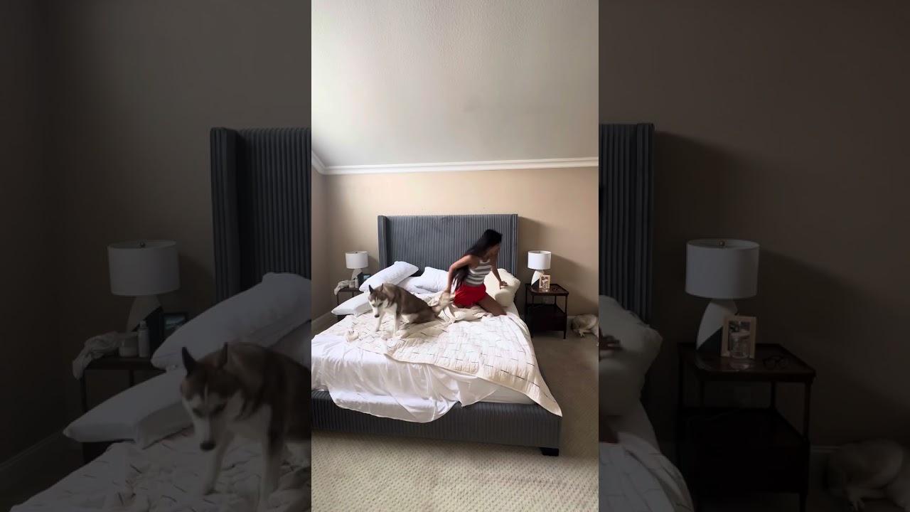 Just woke up 🥰Good morning San Francisco