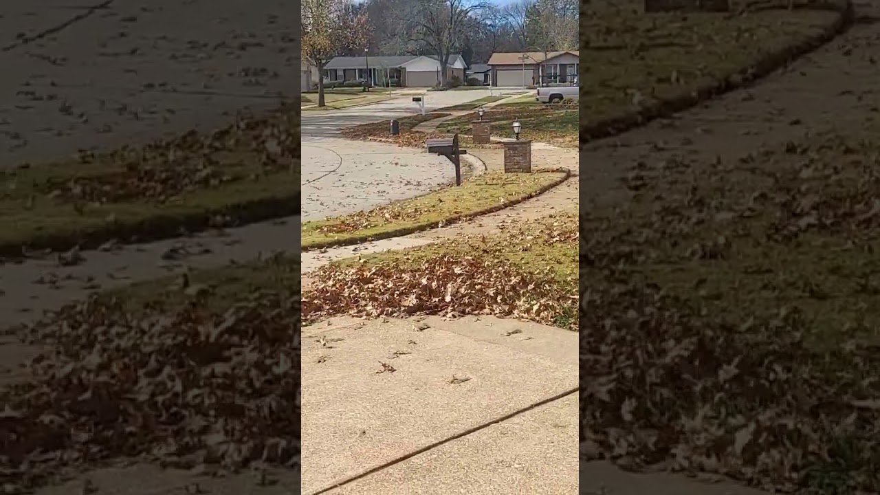 Leaf Tornado