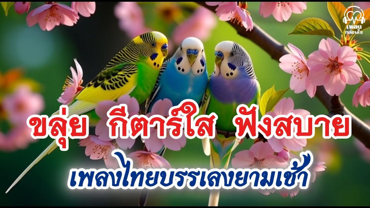 เพลงไทยบรรเลงยามเช้า | ขลุ่ย กีตาร์ใส ฟังสบาย ไม่มีโฆษณาคั่นกลาง