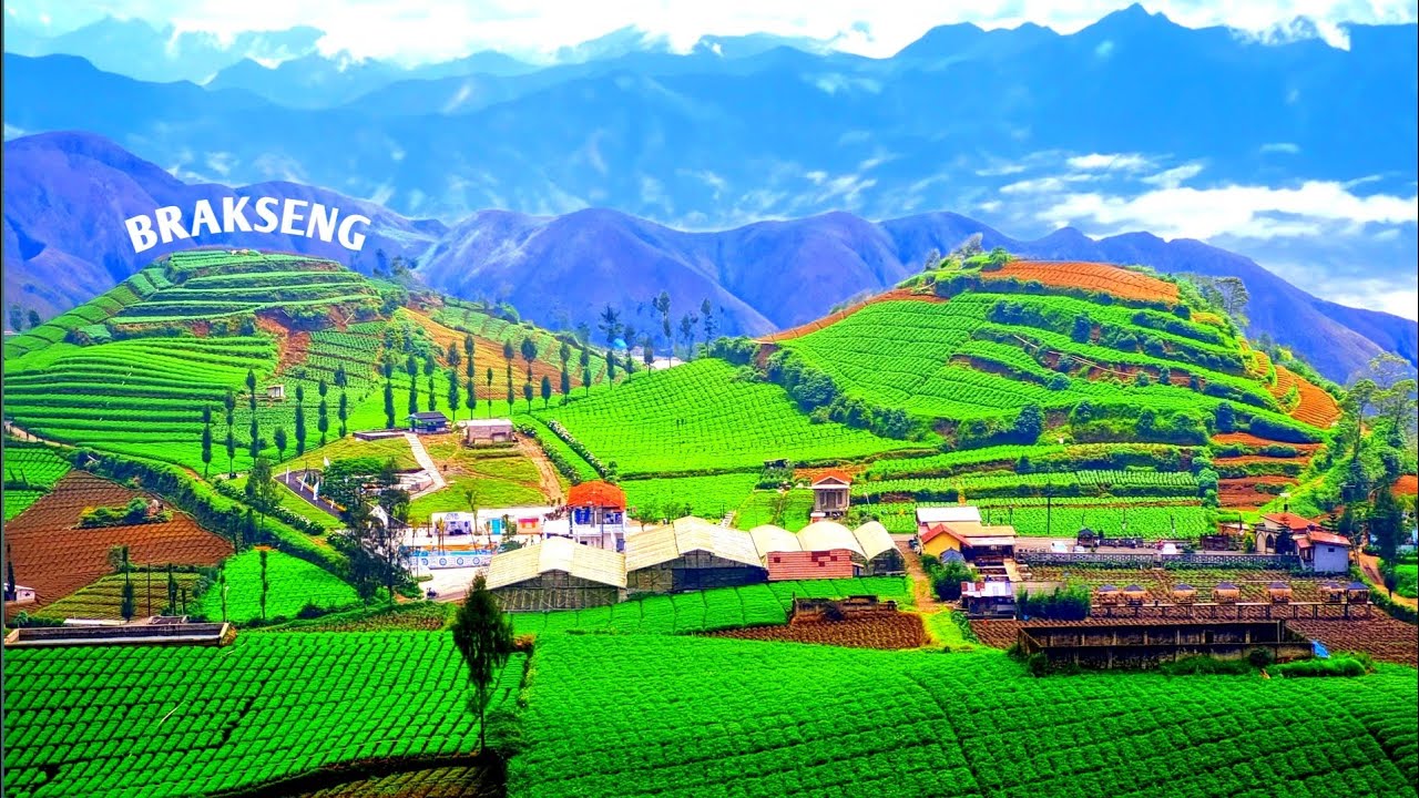WISATA ALAM BRAKSENG CANGAR KOTA BATU#bubungpandreng