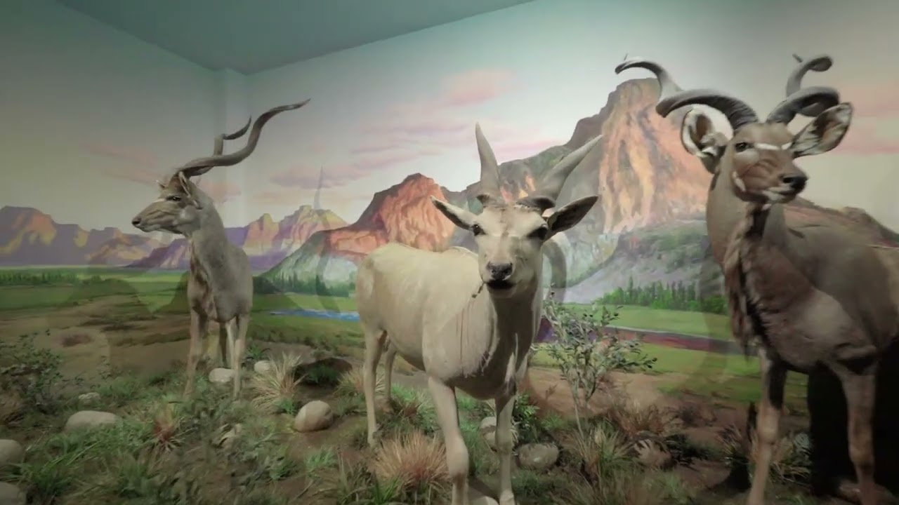 simulation animals