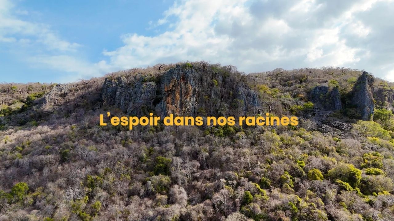 L'espoir dans nos racines - Reportage inédit produit par INDRI