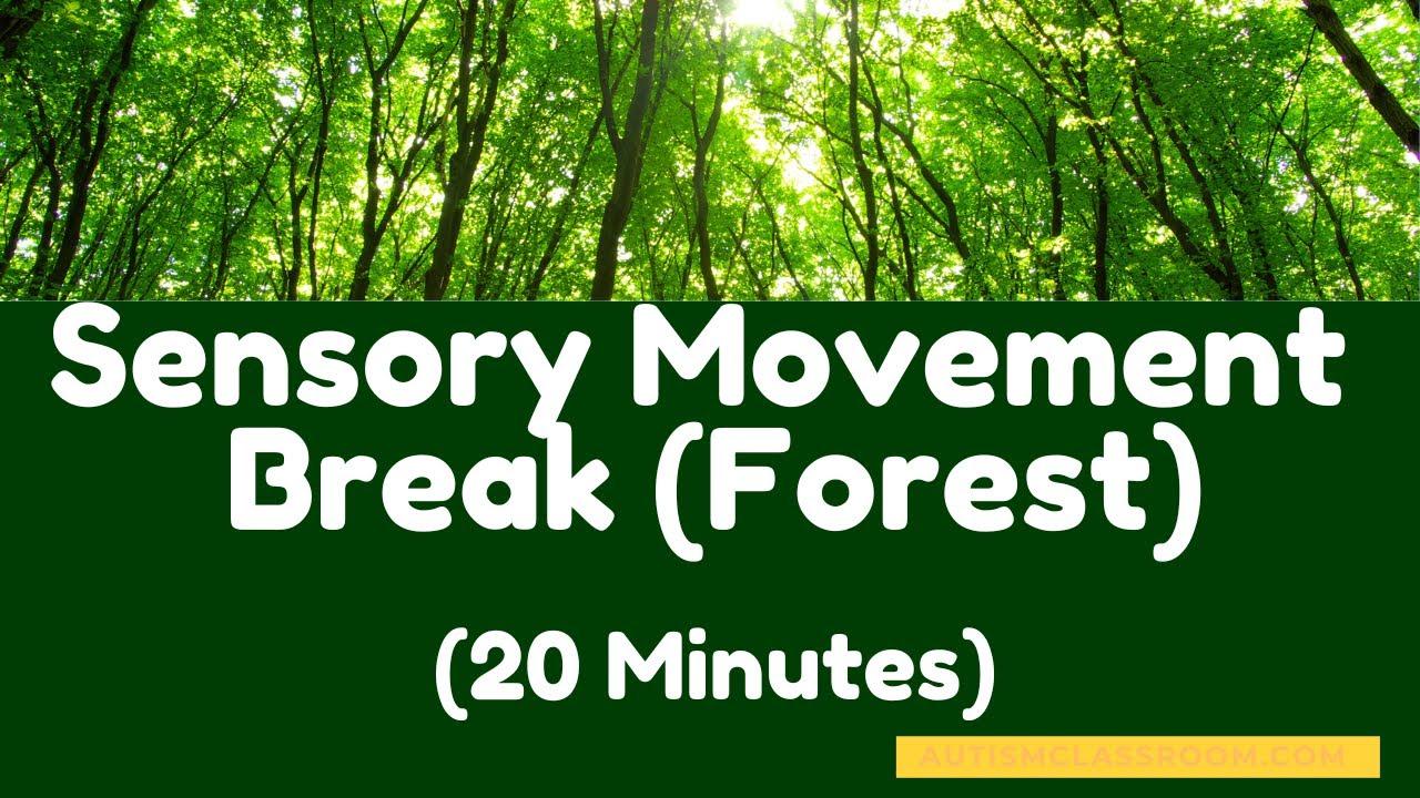 Sensory Movement Break Calming Music (Forest) for a Timed 20 Minute Break