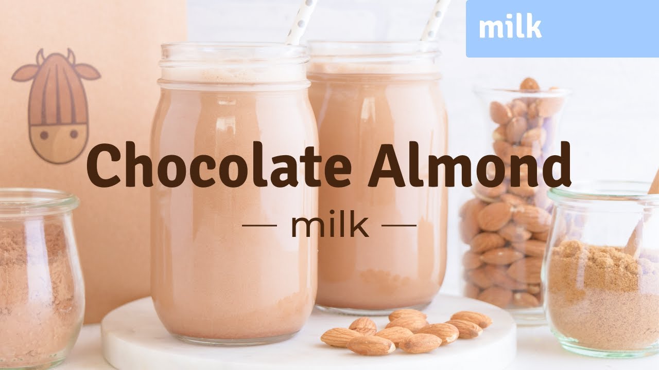 How To Make Chocolate Almond Milk At Home (without straining!) with Almond Cow