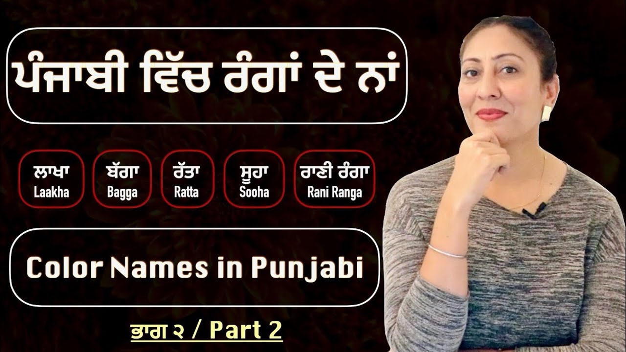 ਪੰਜਾਬੀ ਵਿੱਚ ਰੰਗਾਂ ਦੇ ਨਾਂ I Color names in punjabi II Part 2 II Sooha, Ratta, Bagga 