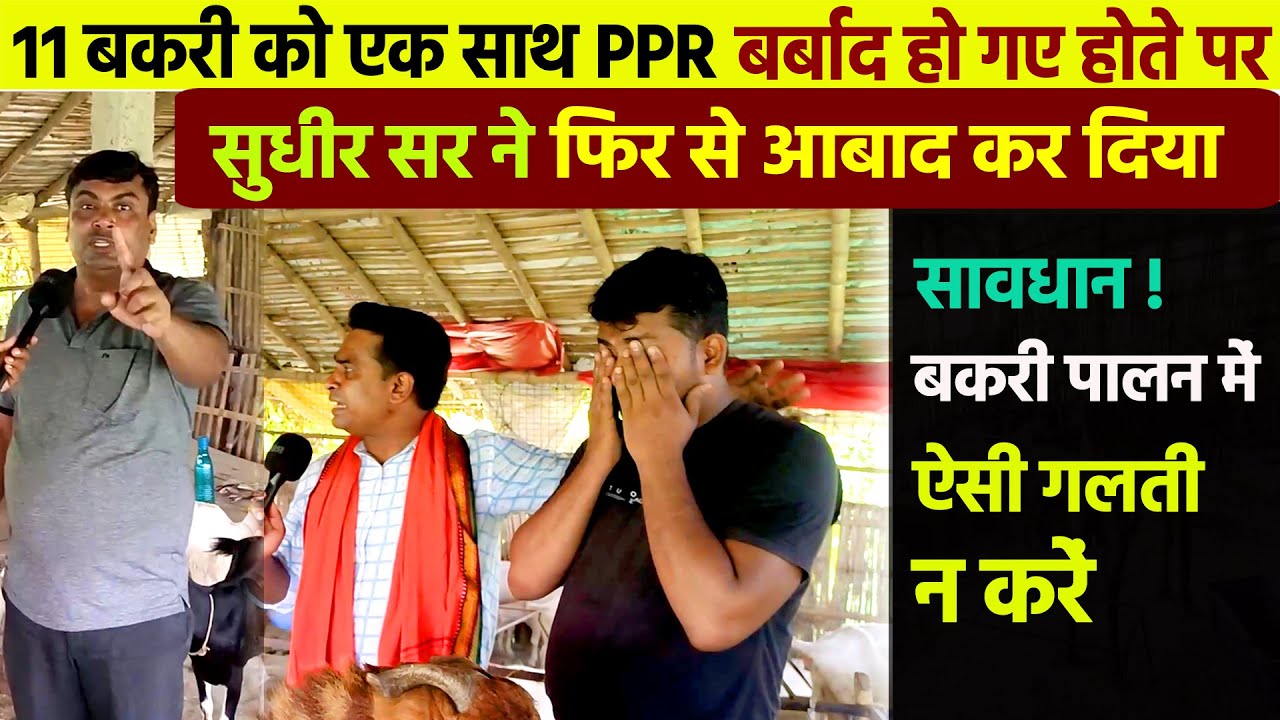 मात्र 11 महीने में 5 बकरी से 45 GOATS कर लिया पर दरभंगा के बकरी फार्म की कहानी आपको भी भावुक कर देगी