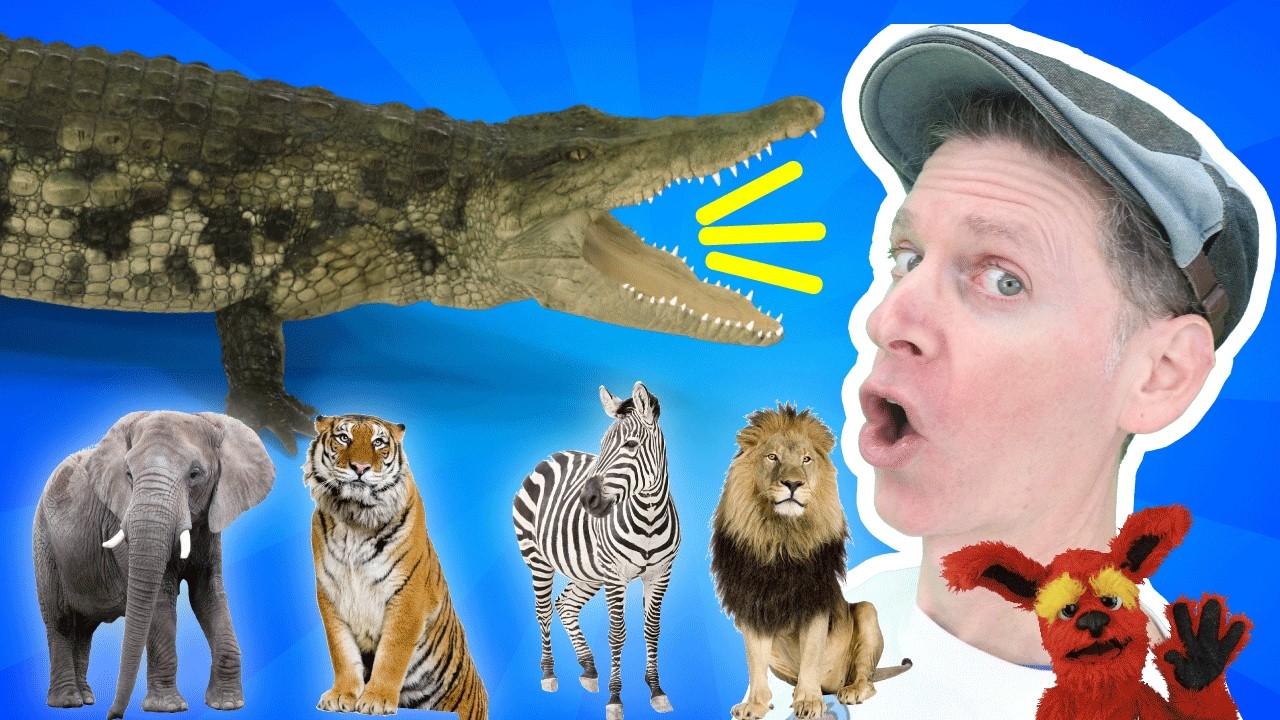 Wild Animal Vocabulary | Crocodile Chase Song With Matt | Dream English Kids