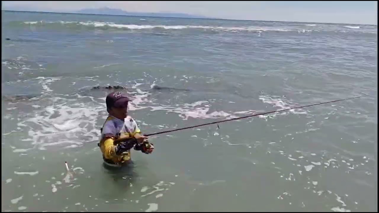 Salio curbina. Robalo. Macarela y sierra buenas capturas 