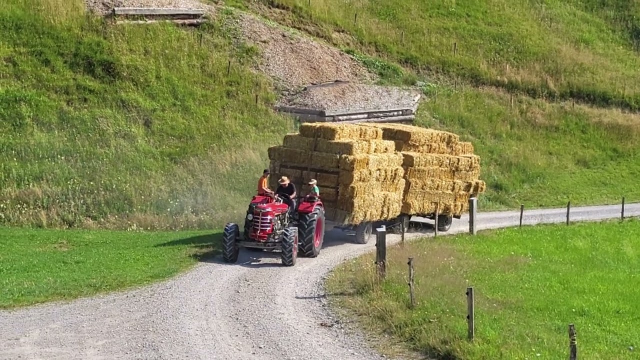 H&uuml;rlimann D200 Allrad Synchromat