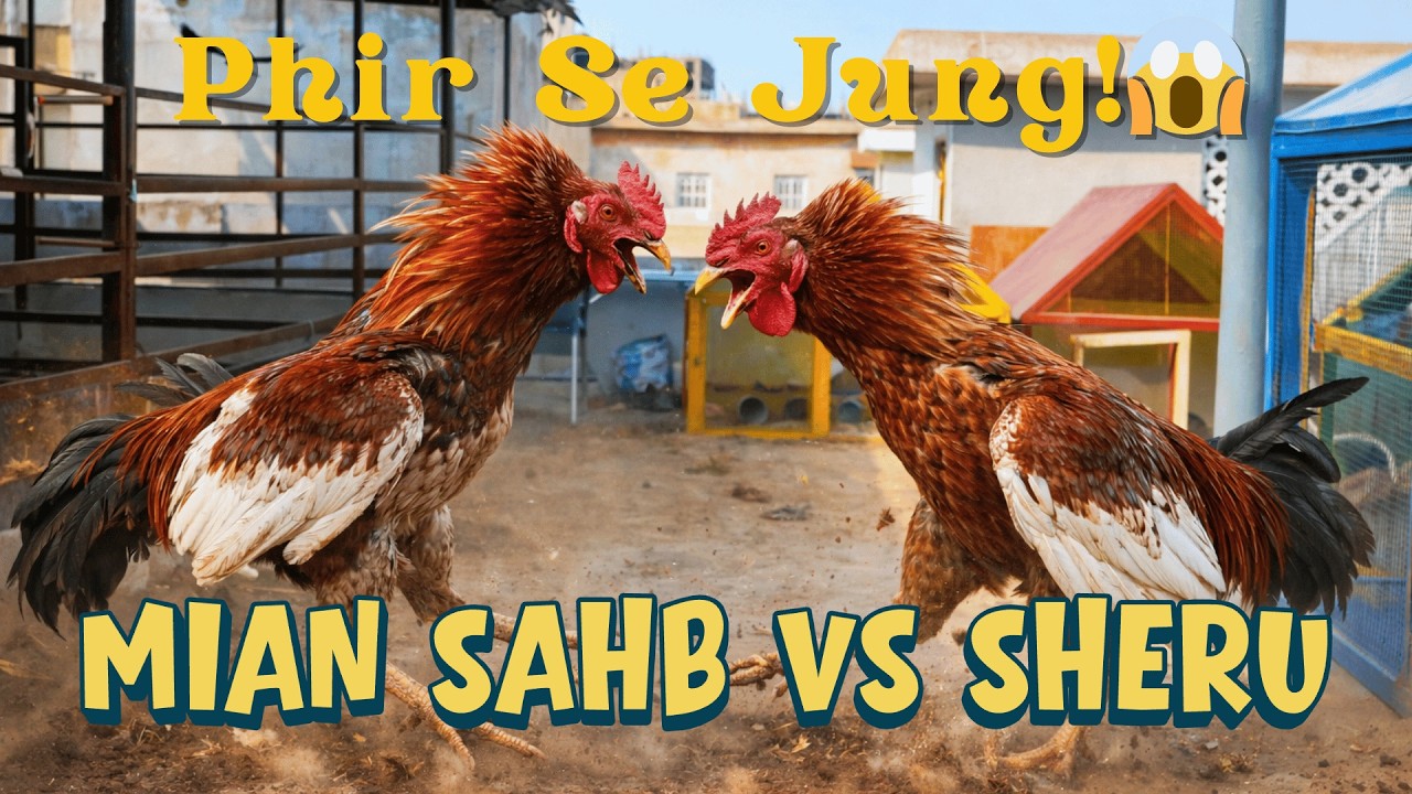 Farm Par Phir Hungama! 🐓 Goat Milking Guide + Duck Babies Fun | Full Farm Fun | Hamare Dost Animals