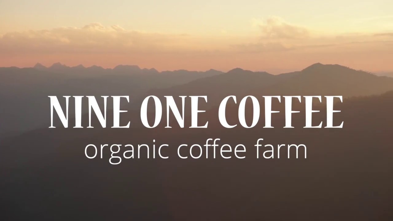 Nine One Coffee – organic coffee farm in the north of Thailand