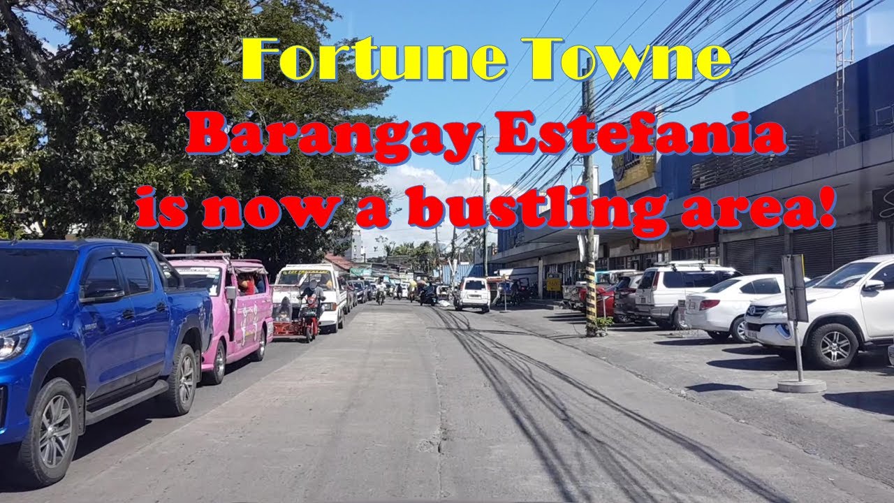 Bacolod Road Trip: Around Fortune Towne Barangay Estefania