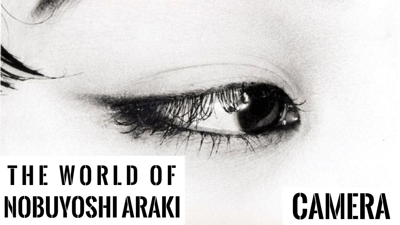 THE WORLD OF Nobuyoshi Araki
