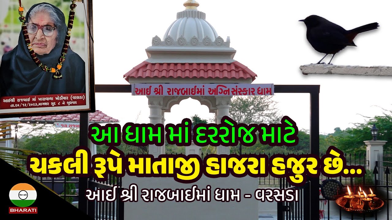 આ ધામ માં દરોજ માટે ચકલી રૂપે માતાજી હાજરા હજુર છે.. || આઈ શ્રી રાજબાઈ માં ધામ - વરસડા