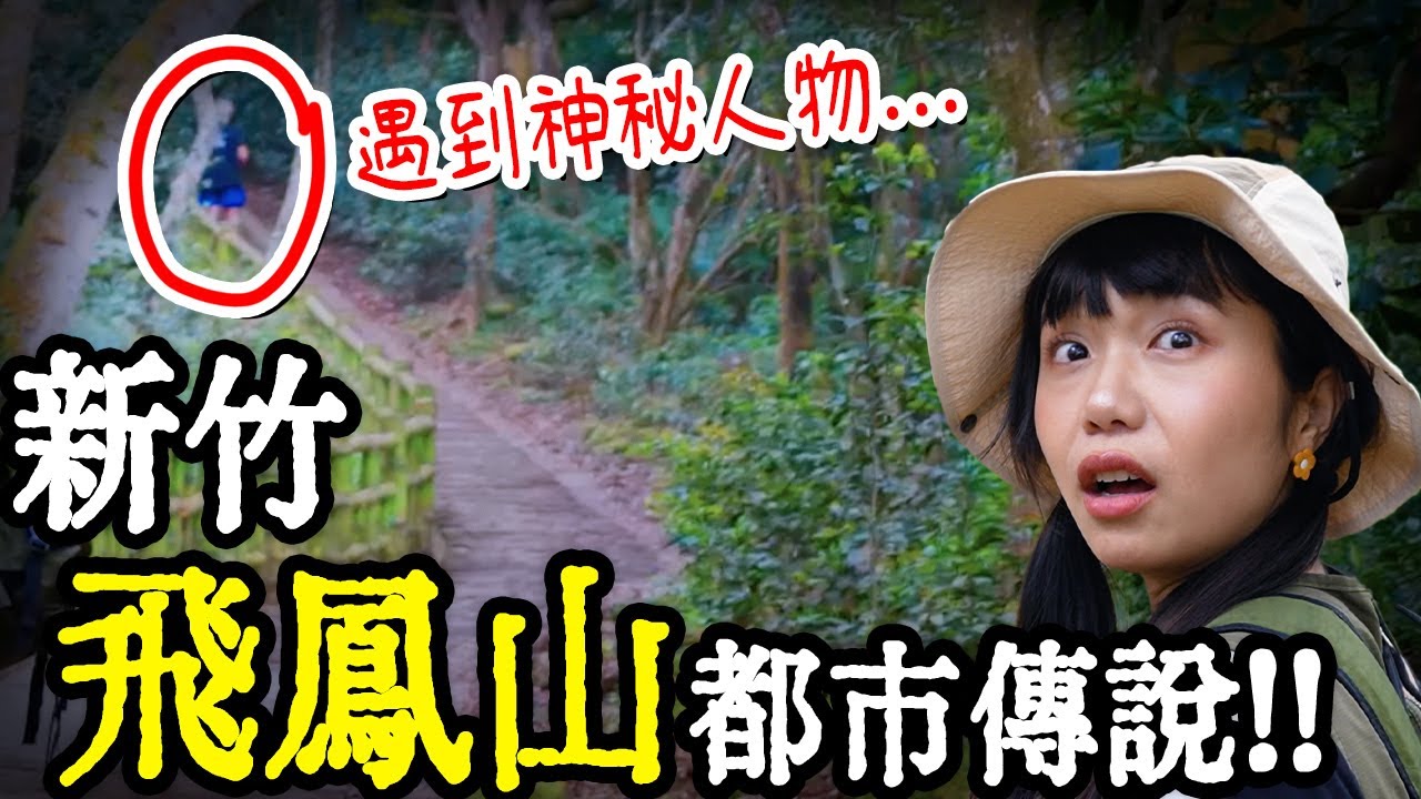 解鎖”新竹都市傳說”資深在地才知道！一年只能看到幾次的奇景？！親子&新手也可以的登山步道💚🤩｜新竹旅遊