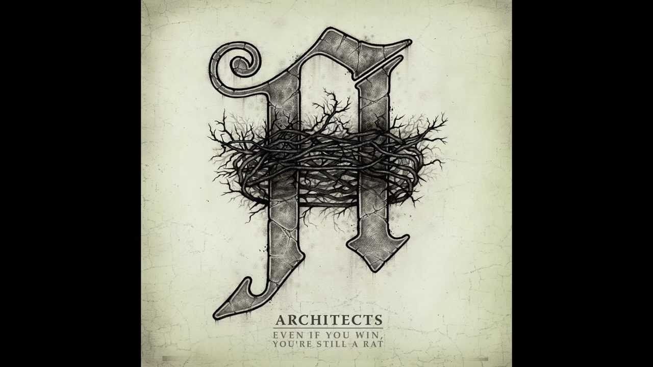Architects - Even If You Win, You're Still A Rat