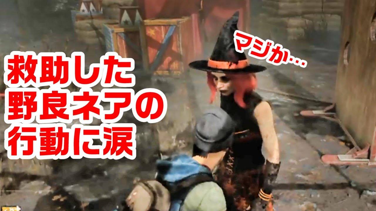 優しすぎる野良ネアに全米が泣きかけた【サバイバーでDead by Daylight 実況#1146】