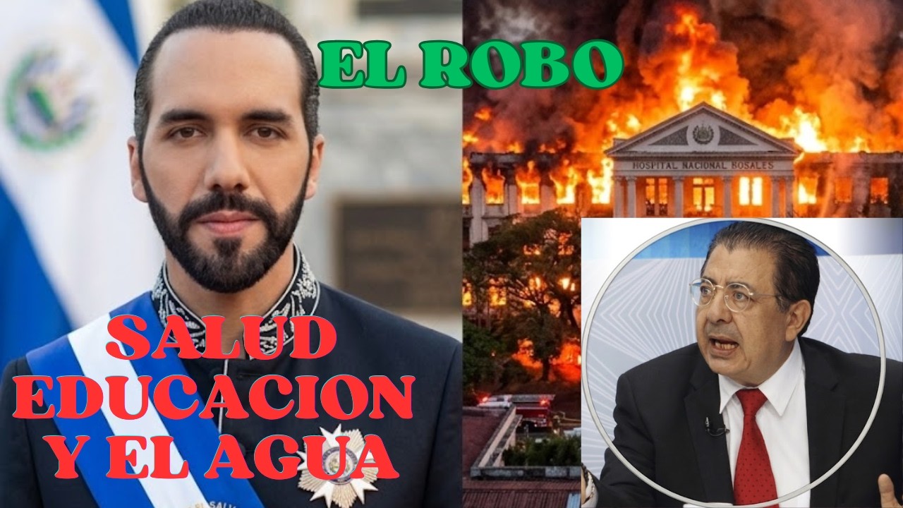 Ронал Уманья, лицензированный эксперт, политика с другой точки зрения.