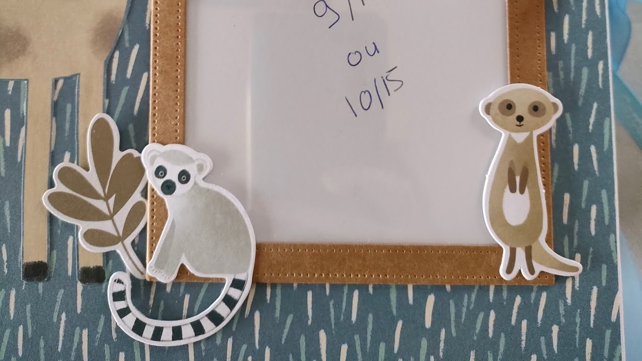 PRÉSENTATION D'ALBUM BÉBÉ collection 