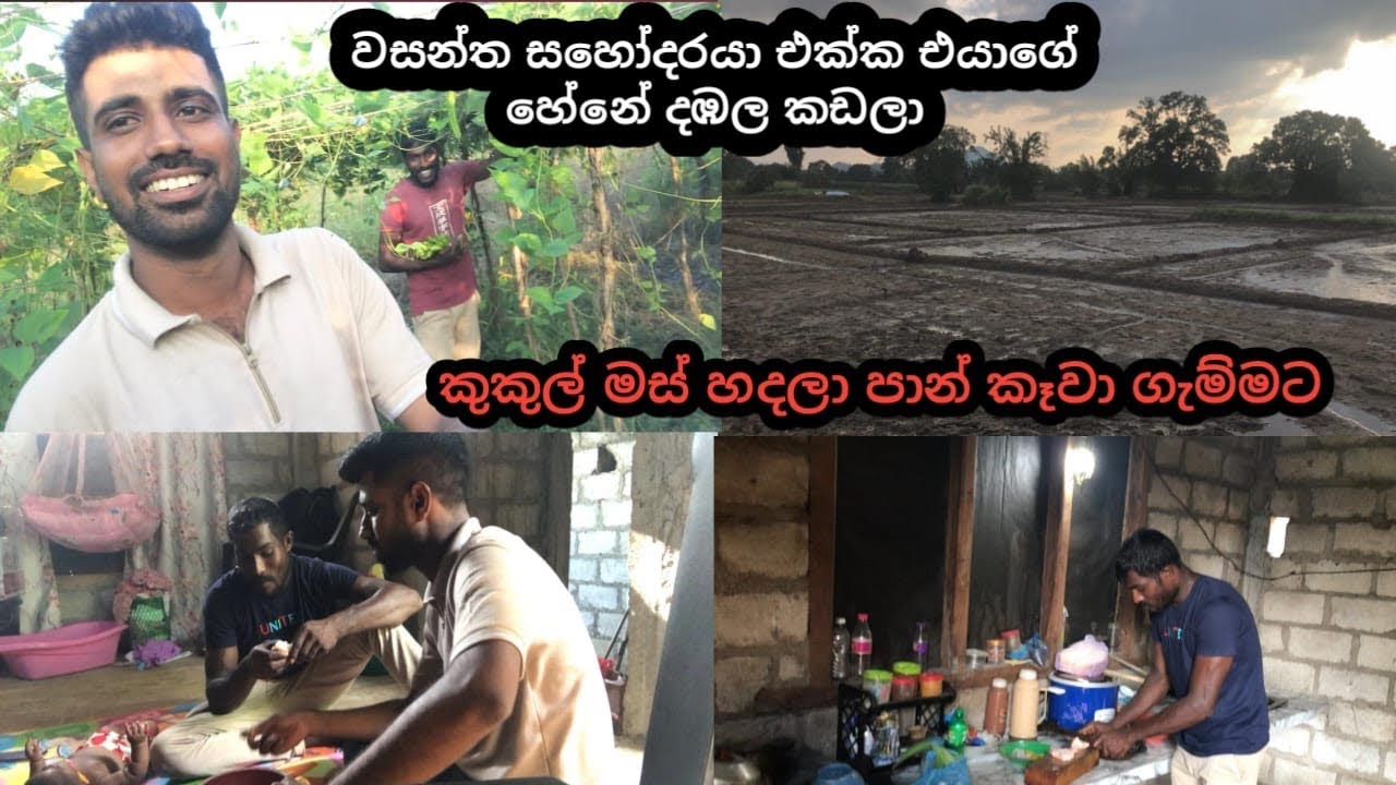 වසන්ත සහෝදරයා එක්ක එයාගේ හේනේ දඹල කඩන්න ගියා..කුකුල් මස් 🍗හදලා පාන් කෑවා ගැම්මට... 