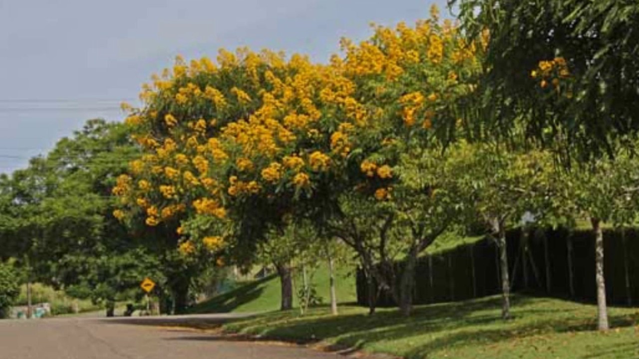 Condomínio Residencial Jardim das Palmeiras Bragança Paulista