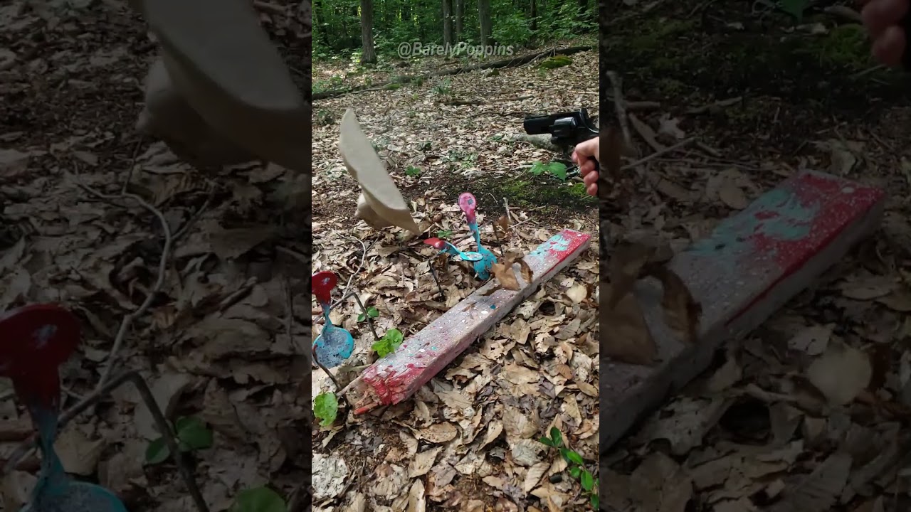 German 357 magnum vs cardboard target 4 
