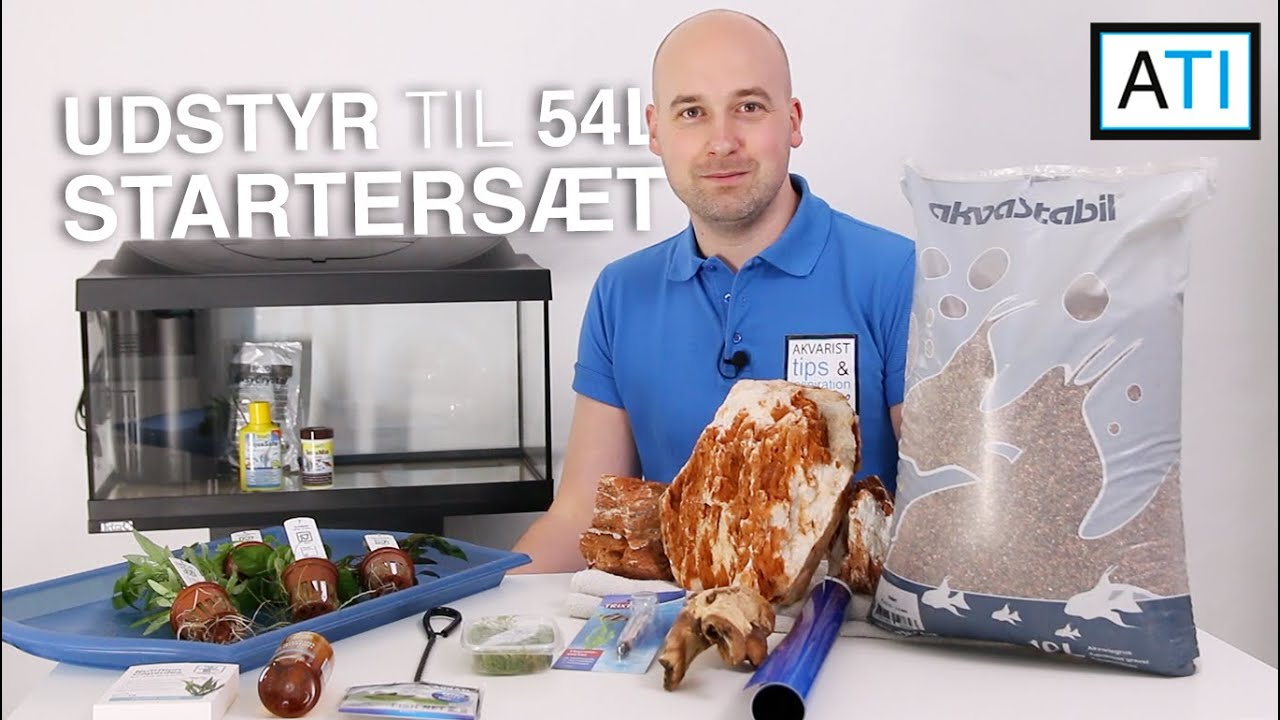 Det skal du bruge til at starte et 54 liters akvarie op (1/7) - Begynder guide