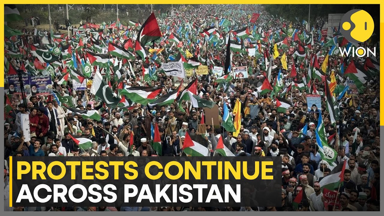 Pakistan Elections 2024: Pak election commission probes into election rigging allegations | WION