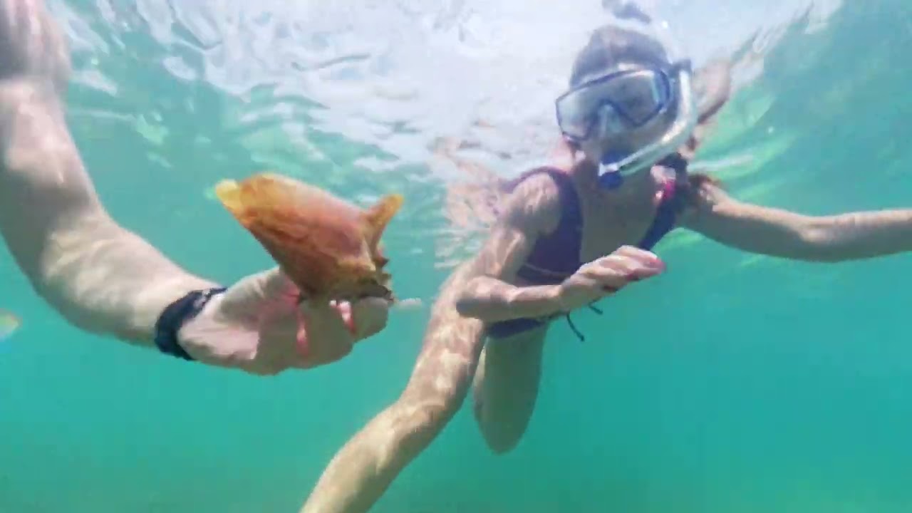 Secrets Akumal Snorkeling and Turtle Excursion