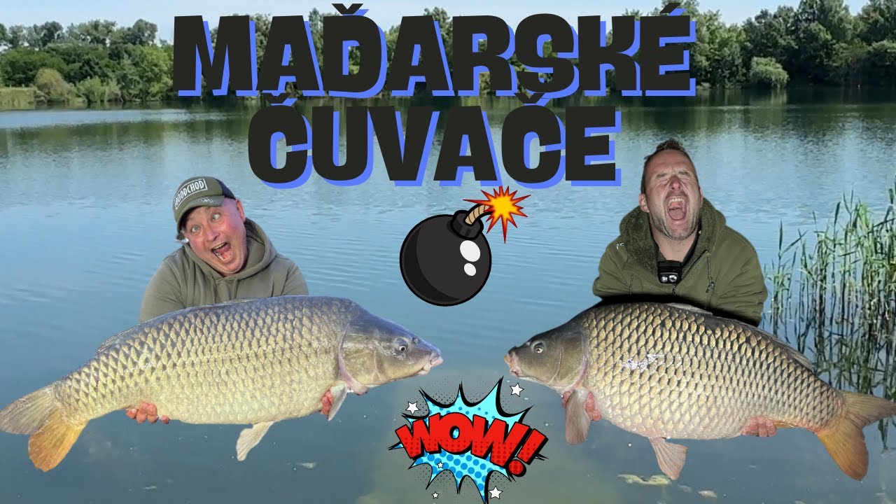 Maďarske ČUVAČE na rybniku KOI 2 Horgásztó....OOODCHOD za KAPRAMI  č.18