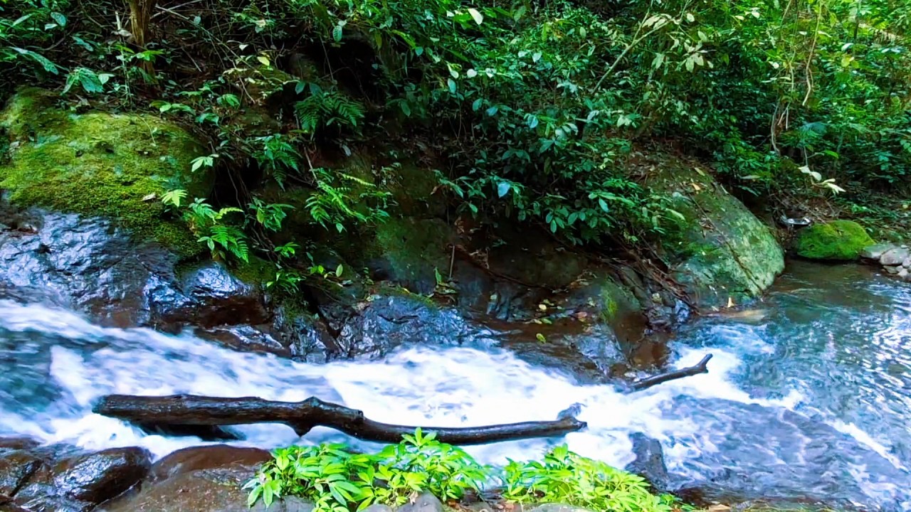 Natural River Sounds for Inner Balance