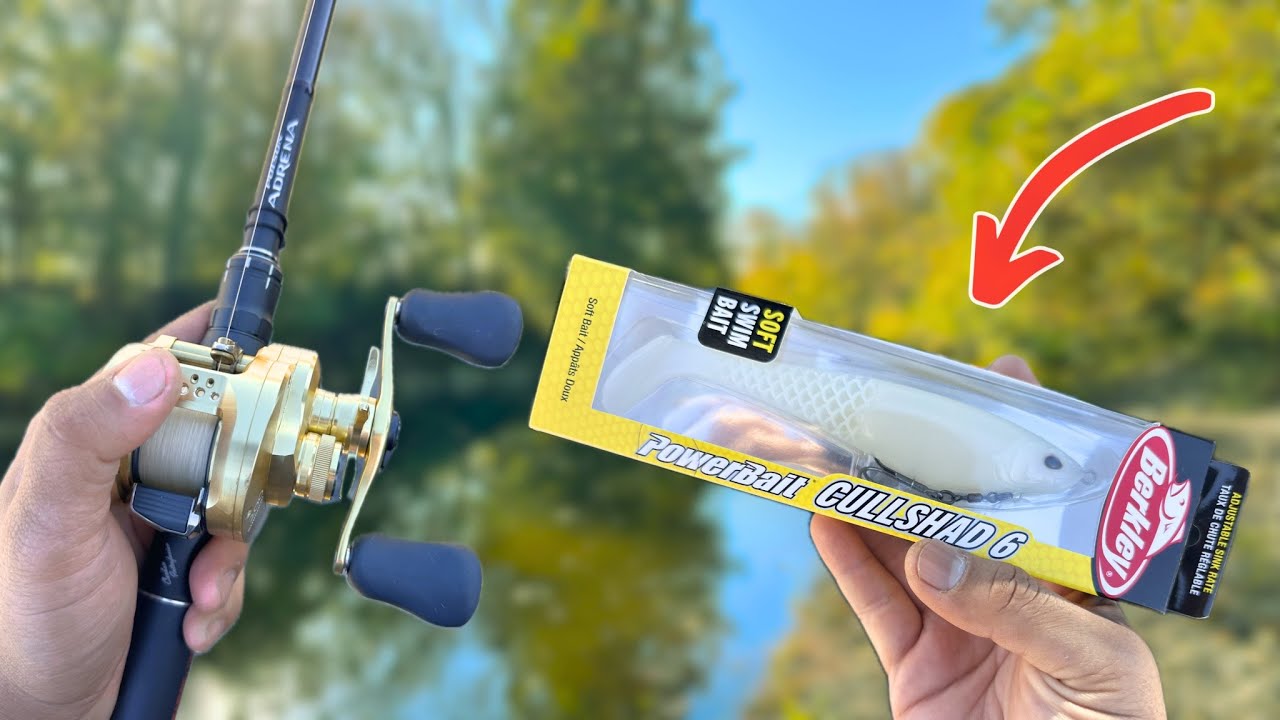 Осенняя рыбалка на свимбейт с Berkley CULL SHAD 6 (СПАСИБО 1000 ПОДПИСЧИКАМ)