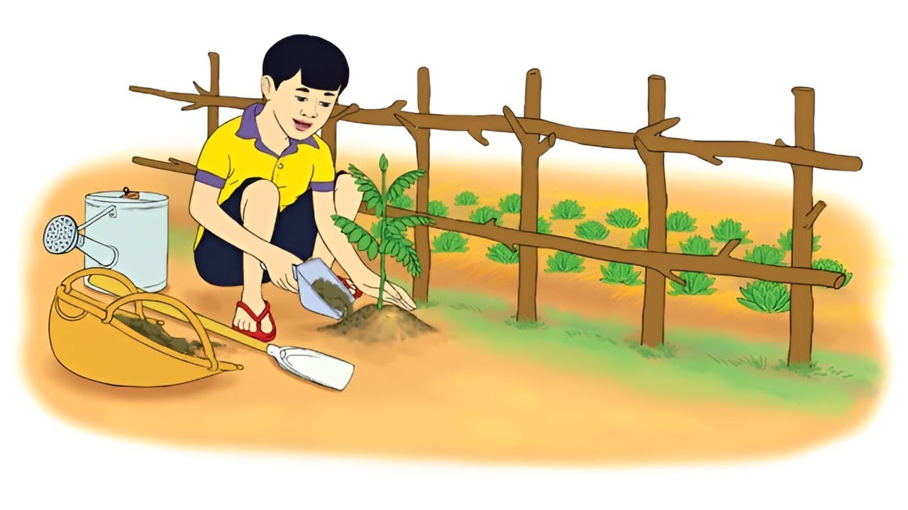 Li | ចៅលី