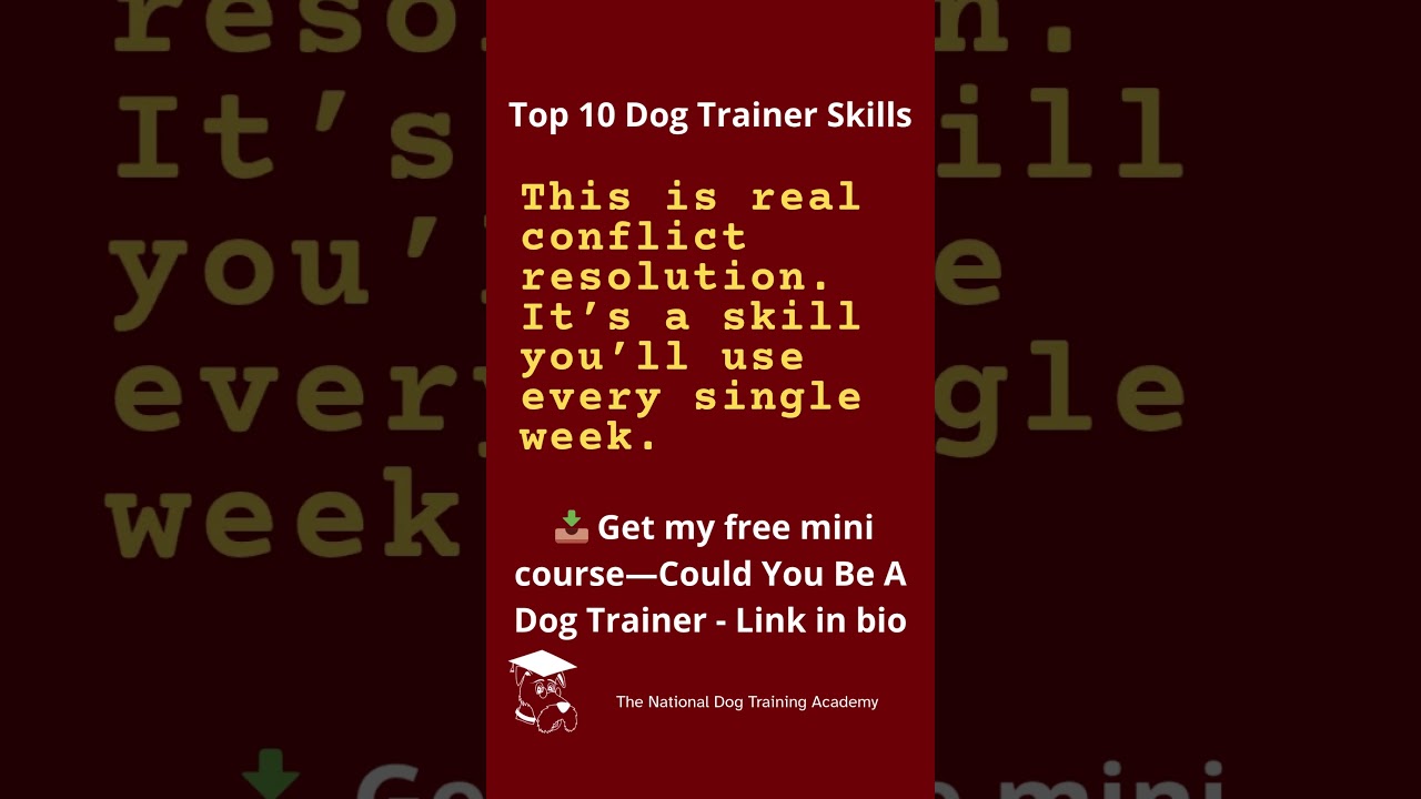 Instagram Reels DT Skills Day 7#dogtrainingcareer #careerchange #dogtrainingskills #dogtrainerlife